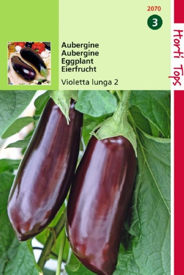 Eggplant Long Purple 2 (Solanum) 450 seeds HT